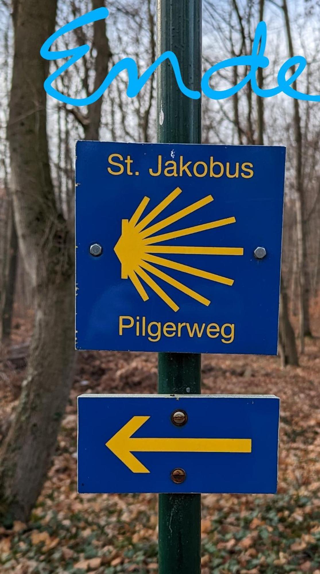Ruhig - Privatparkplatz - Barrierearm Quiet - Private Car Park - Low Barrier Magdeburg Exteriör bild